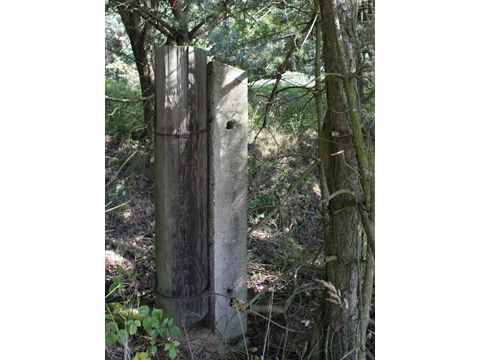 Foto 47